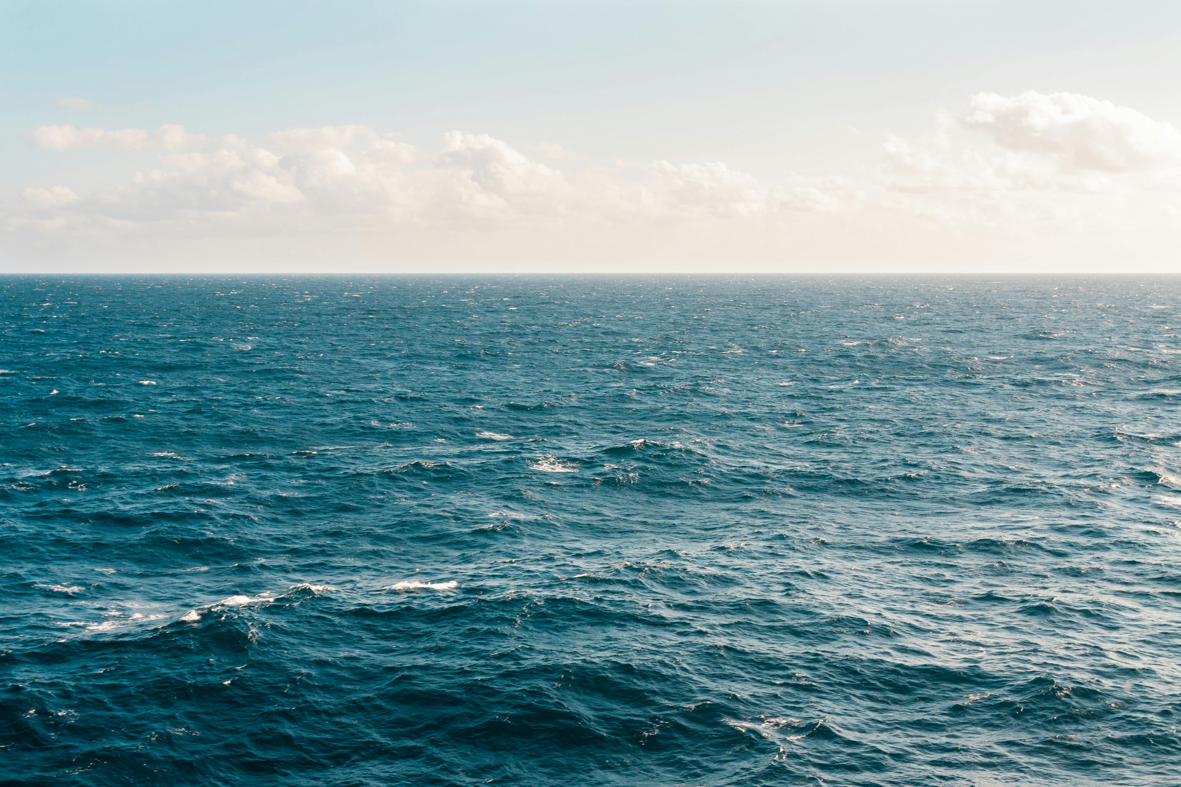 One Earth One Ocean Aktion cleseBIOSCIENCE Gemeinnützige Aktionen